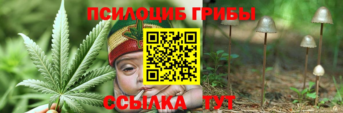 Губкинский  Галлюциногенные грибы GOLDEN TEACHER  Вход с VPN  Псилоцибиновые грибы GOLDEN TEACHER 