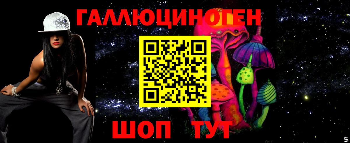 Галлюциногенные грибы мицелий Губкинский